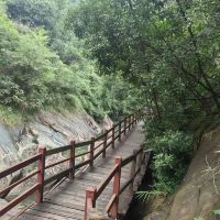 評論圖片 5