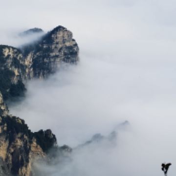 評論圖片 7