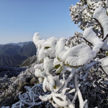 評論圖片 5