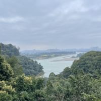 評論圖片 4