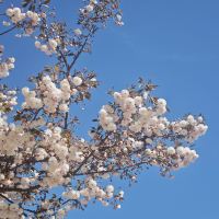 評論圖片 5