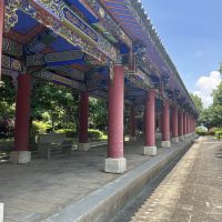 評論圖片 2