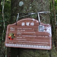評論圖片 3