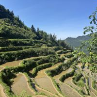 評論圖片 7