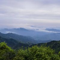 評論圖片 1