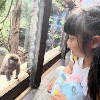 評論圖片 3