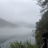 評論圖片 5