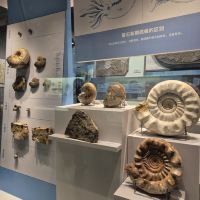 評論圖片 4