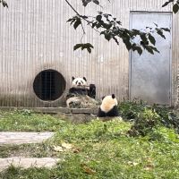 評論圖片 2