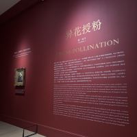 評論圖片 1