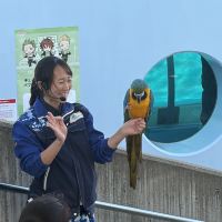 評論圖片 3