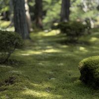 評論圖片 2
