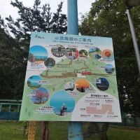 評論圖片 1