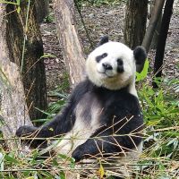 評論圖片 1