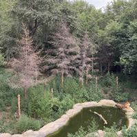 評論圖片 1
