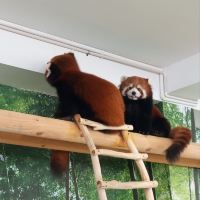 評論圖片 4