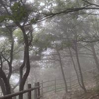 評論圖片 7