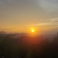 評論圖片 2
