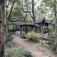 評論圖片 2