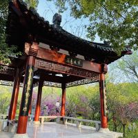 評論圖片 4