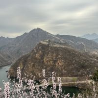 評論圖片 5