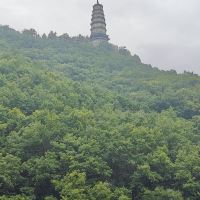評論圖片 5