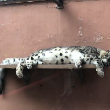 評論圖片 8