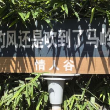 評論圖片 8