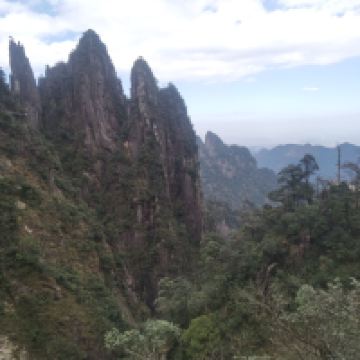 評論圖片 8