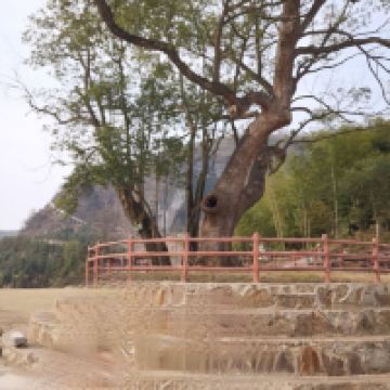 評論圖片 8