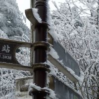 評論圖片 3
