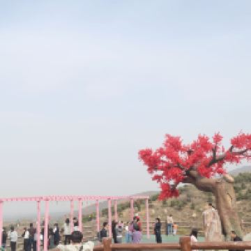 評論圖片 3