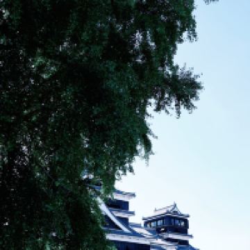 評論圖片 3