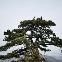 評論圖片 8