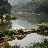 評論圖片 2
