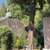 評論圖片 1