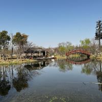 評論圖片 1