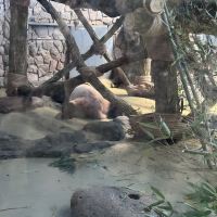 評論圖片 6