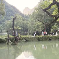 評論圖片 5