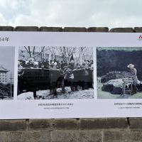 評論圖片 5