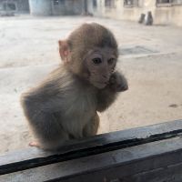 評論圖片 3
