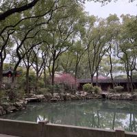 評論圖片 3