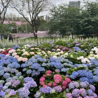 評論圖片 2