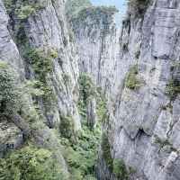 評論圖片 1