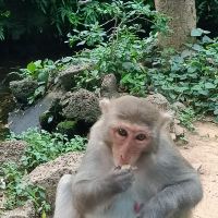 評論圖片 5