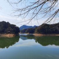 評論圖片 1