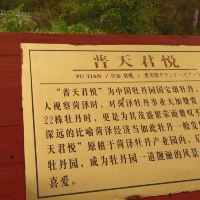 評論圖片 9
