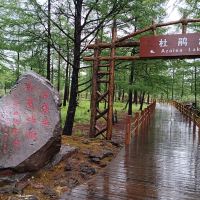 評論圖片 9