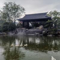 評論圖片 2