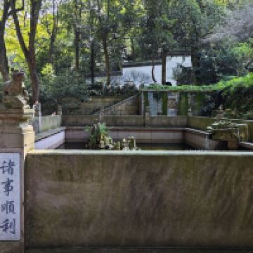 評論圖片 6